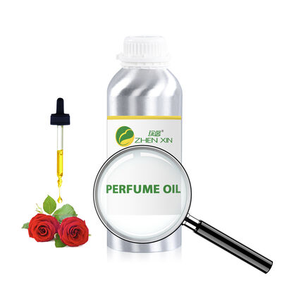 Perfumes Arabic High Quality Essential Oil Designer Fragrance Oil Luxury Cologne Perfumes for Women Wholesale Perfume Oil