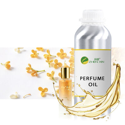 High Quality Perfume Essence Oil for Minimalist Fragrance Concepts