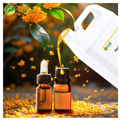 100% pure Purity Laurel Fragrance Oil Perfume With Free Sample