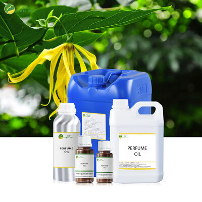 Ölbasierte Parfüms Marke für Frauen und Männer Designer Duftöl Roll auf Parfümöl für Körperspray